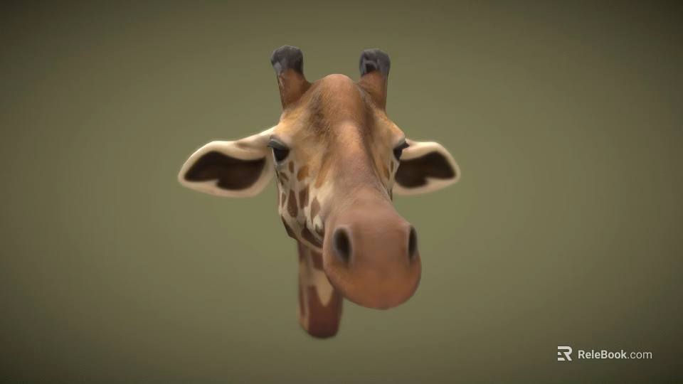 Detailed Giraffe Head 3D Model With Spotted Pattern Horns And Ears 3d model 