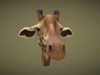 Detailed Giraffe Head 3D Model With Spotted Pattern Horns And Ears 3d model