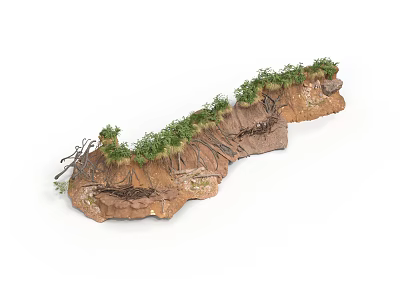 Modern Natural Terrain Model With Brown Substrate And Lush Green Vegetation 3d model