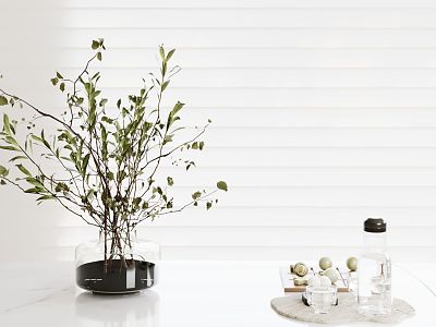 Modern Vase Plant Desktop Ornaments Combination model