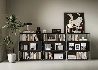 bookcase bookshelf book ornaments green plants potted plants 3d model