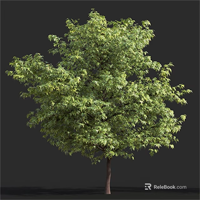 Lush Green Arbor With Dense Foliage And Strong Brown Trunk In Natural Scene 3d model 