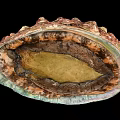 Abalone Shell Displaying Vibrant Interior With Natural Iridescent Texture And Patterns