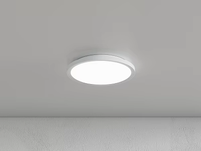 Modern Round White Flush Mount Ceiling Light With LED Illumination For Indoor Spaces 3d model