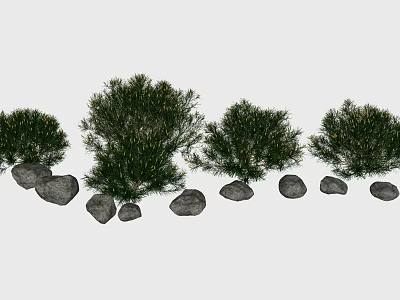 Lush Green Shrubs Placed With Stones In Natural Outdoor Garden Area 3d model