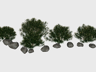 Modern shrubs, shrubs, bushes, plants, green plants 3d model