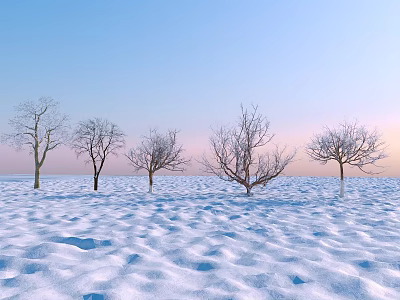 Plant Combination of Five Leafless Trees in Snowy Field with Blue Sky and Pink Sunset 3d model