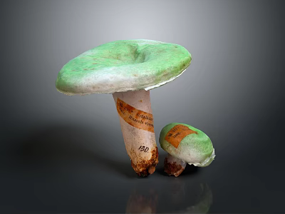 Green Mushroom Organ Structures With Hairy Edges And Labeled Stems Size 250 150 3d model