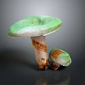 Green Mushroom Organ Structures With Hairy Edges And Labeled Stems Size 250 150