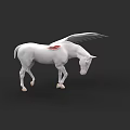 White Flying Horse With Gray Wings Red Back Mark Standing Head Down On Black Background