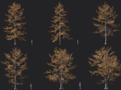 Six Deciduous Trees With Golden Yellow Leaves Trunks Branches And Black Background With Human Figures 3d model