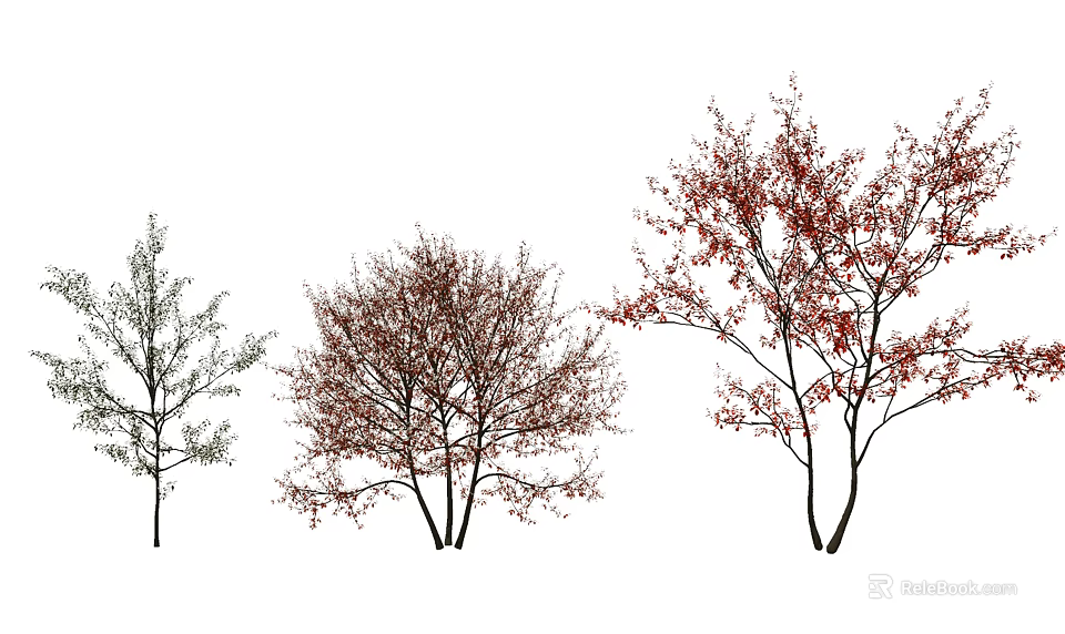 Three Different Arbor Trees With Red Leaves And Natural Branch Structures 3d model 