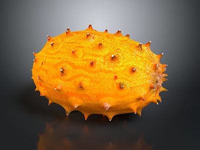Fresh Shiny Orange Kiwano Horned Melon with Spiky Exterior on Dark Background 3d model