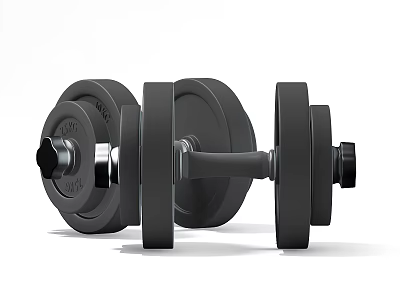 Black Adjustable Dumbbell Fitness Equipment With Weight Plates And Metal Handle 3d model