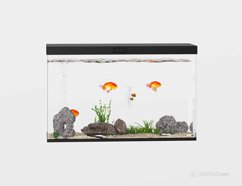Clear Glass Fish Tank with Colorful Fish Aquatic Plants Rocks and Gravel 3d model 