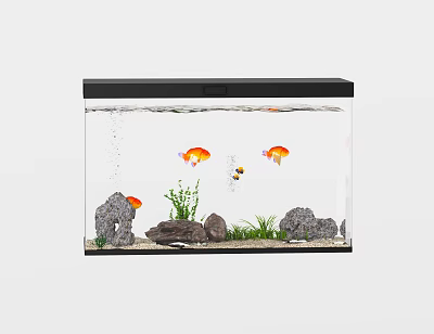 Clear Glass Fish Tank with Colorful Fish Aquatic Plants Rocks and Gravel 3d model