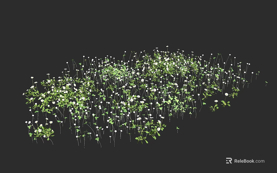 Lush Green Leafy Floral Plants With White Blooms In Natural Growth 3d model 