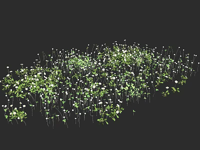 Lush Green Leafy Floral Plants With White Blooms In Natural Growth 3d model