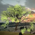 Scenic Garden Landscape Featuring Large Tree With Green Leaves Sunset Sky And Distant Mountains