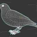 Gray Bird Standing On Dark Background With Detailed Feather Features 3d model