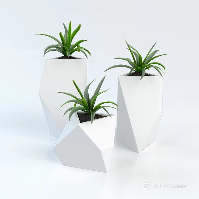 Indoor Potted Plants In Modern White Geometric Pots With Green Leaves 3d model 