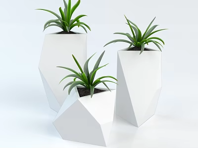 Indoor Potted Plants In Modern White Geometric Pots With Green Leaves 3d model