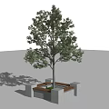 Modern Tree Pool Single Tree Pool 3d model
