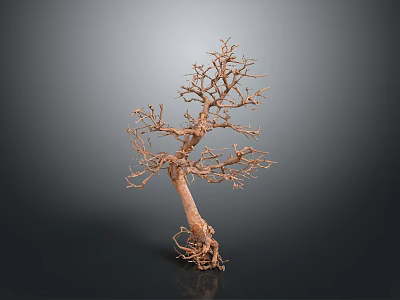 Natural Wood Tree Sculpture With Intricate Branches And Stone Base Design 3d model