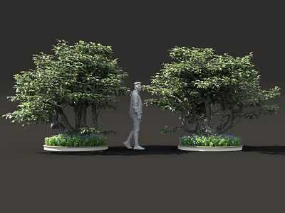 Large Potted Trees With Green Foliage And Gray Human Figure Between Circular Bases 3d model