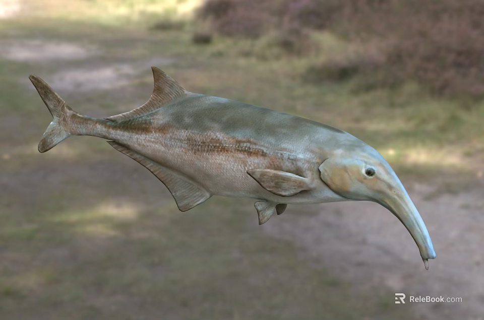 Aquatic Animal With Long Snout Streamlined Body And Fins In Natural Aquatic Habitat 3d model 