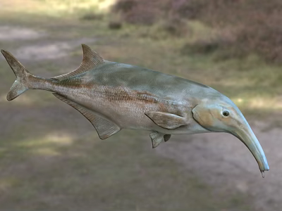 Aquatic Animal With Long Snout Streamlined Body And Fins In Natural Aquatic Habitat 3d model