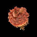 Deep Sea Orange Red Marine Creature With Spherical Surface Bumps And Unique Structure