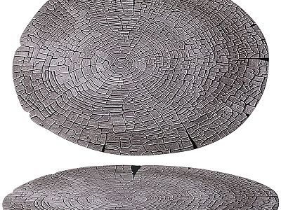 Round crack carpet 3d model