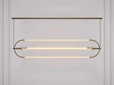 Modern Linear Pendant Light With Metal Frame And LED Tubes Hanging On White Background 3d model
