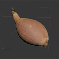 Fresh Whole Orange Red Onion on Dark Background with Natural Shine