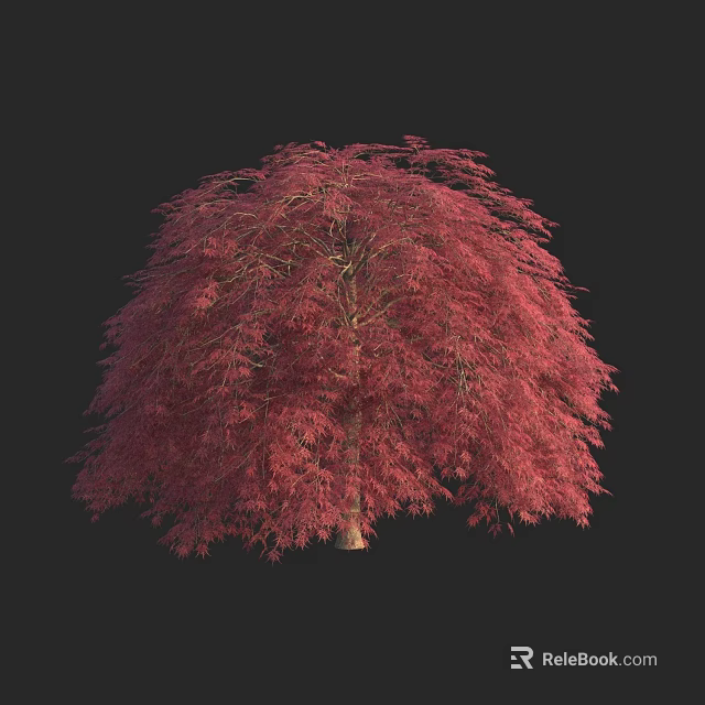 Vibrant Red Leaf Arbor with Lush Foliage Against Black Background 3d model 