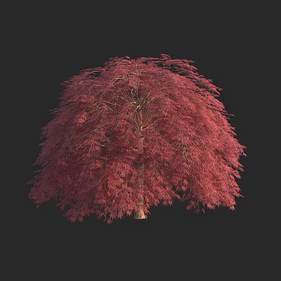 Modern Red Maple Feather Maple Purple Red Leaf Chicken Flaw Qi Hongfeng 3d model