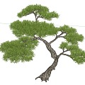 modeling tree modeling loose 3d model