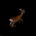 Lifelike Brown Deer With Antlers And White Spots In Running Posture