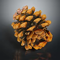 Closeup View Of Orange Brown Pine Cone On Dark Background With Reflection 3d model