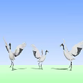 Flying Cranes With Spreading Wings On Green Ground Under Blue Sky 3d model