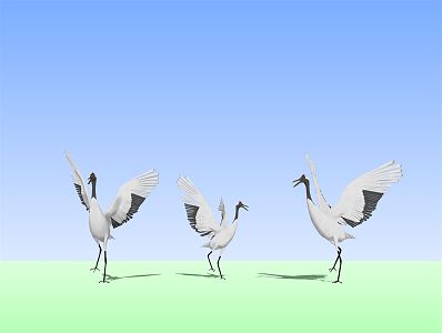 Modern red-crowned crane flying animals 3d model