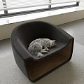 Reptile Resting Comfortably On Modern Gray Chair In Bright Room