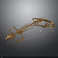 Golden Lizard Skeleton Close Up View With Intricate Structure On Dark Background 3d model