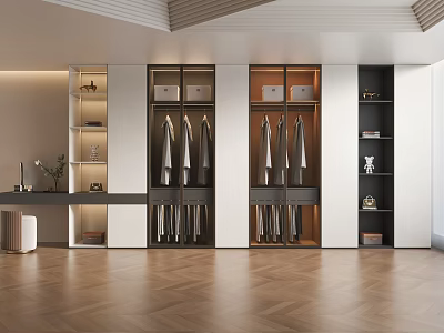 Modern Wardrobe Interior Design With Clothing Hanging Rails Storage Drawers And Open Shelves 3d model