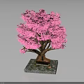 Ornamental Pink Tree with Lush Pink Leaves Brown Trunk on Square Decorative Base