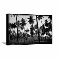 Modern Landscape Painting Black and White Study Plant Flower Plant Decorative Painting 3d model