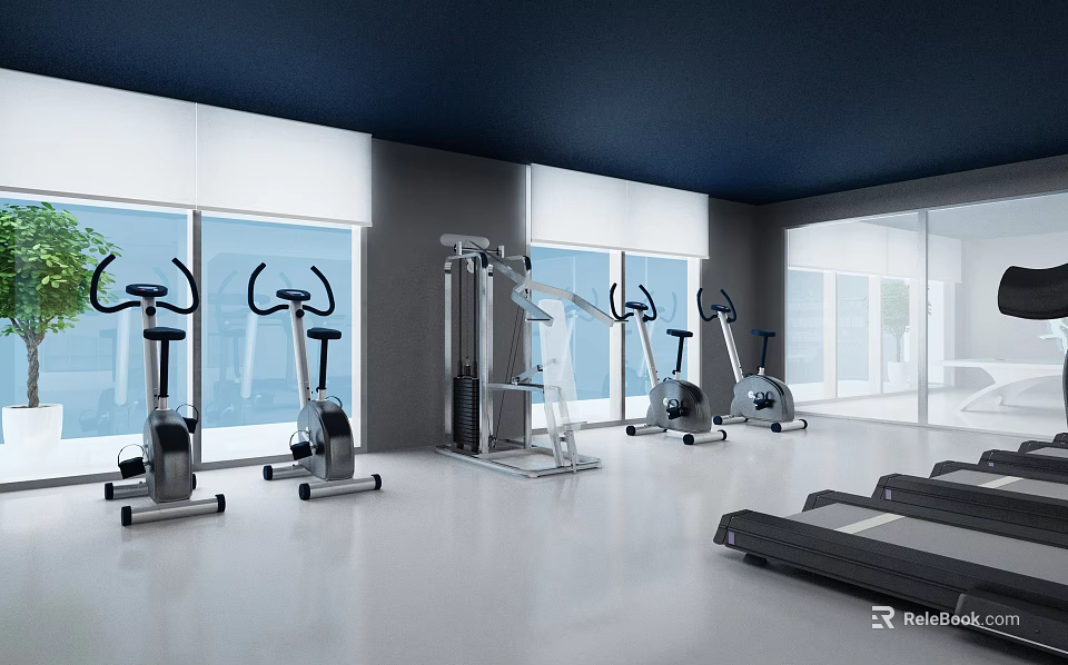 Gym With Various Fitness Equipment In Bright Space 3d model 