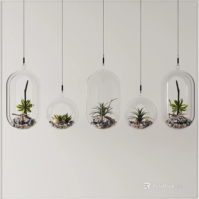 Set of Transparent Glass Hanging Planters with Green Plants for Modern Interior Decor 3d model 