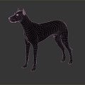 Modern Dog Great Dane German Great Dane Large Dog 3d model